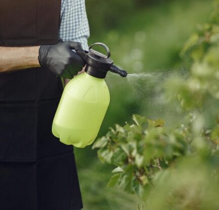 Gardener spraying plants with natural pesticide in eco-friendly garden